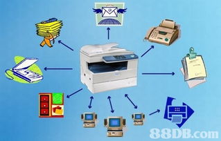 原厂正版软件与特种网印在移动计算机互联网搜索中的重要性